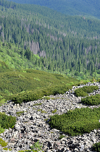 Babia Gra - osuwiska skalne