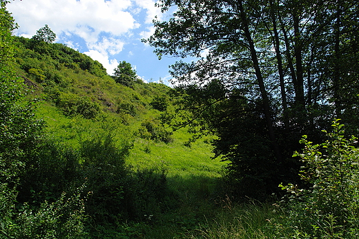 Wwz nad Dobruchn. Wojciechowice