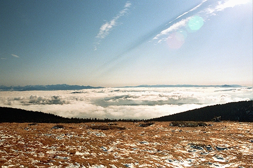 Pilsko (1557 m.n.p.m.) - widok na Tatry. Beskid ywiecki