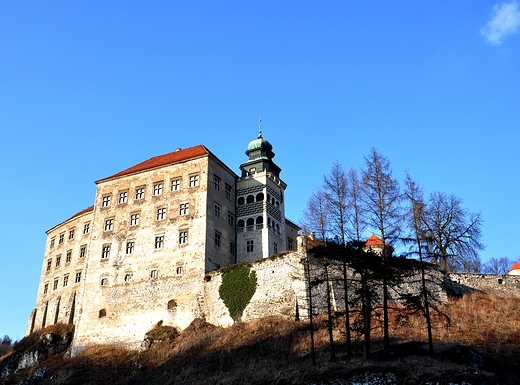 Pod zamkiem w Pieskowej Skale