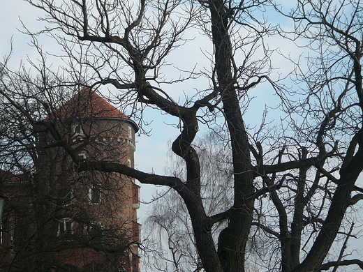Wawel. Krakw