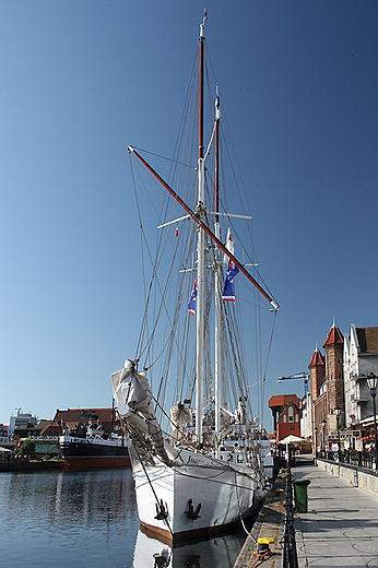 Baltic Sail 2010 - nabrzee Motawy