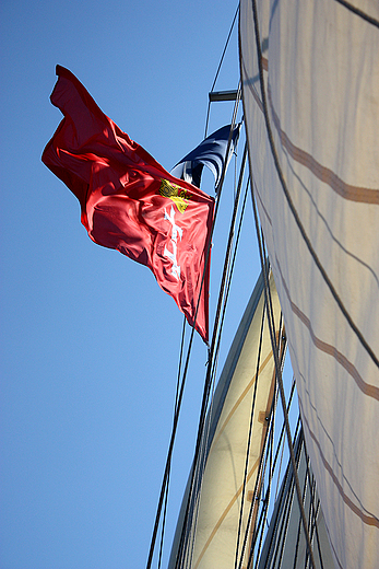 Baltic Sail 2010 - na pokadzie Hansine