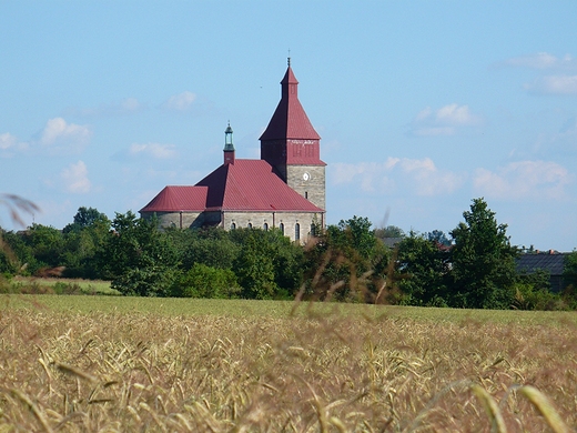 Koci w Pilczycy