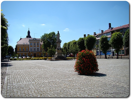 Rynek w Mieszkowicach