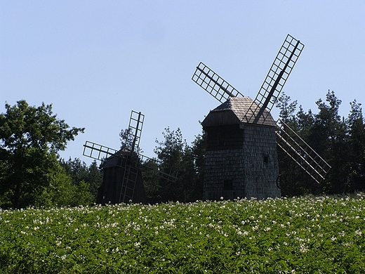 Upalny lipcowy skansen Olsztynek - wiatraki