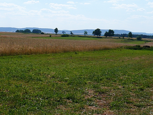 Pilczyckie pola