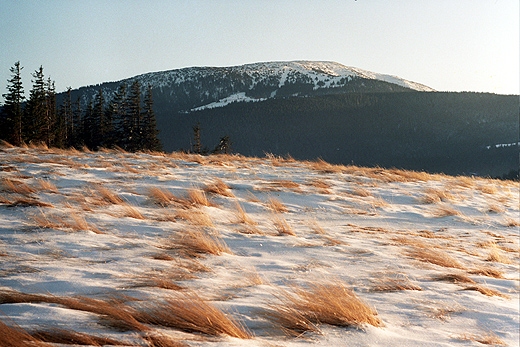 Pilsko (1557 m.n.p.m.) - widok z Hali Malorki (1051 m.n.p.m.). Beskid ywiecki