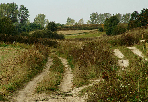 Rozstaje drg. Wilkoaz