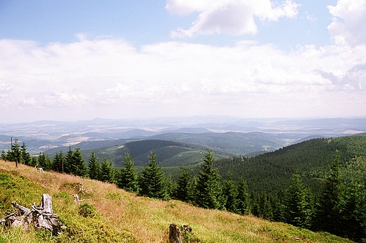 W DRODZE NA OKRAJ