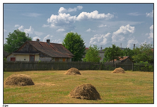 Lipa - fragment najstarszej czci wsi (widok z mostu na Zodziejce przed cmentarzem)