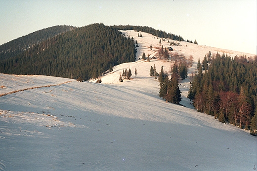 Romanka (1366 m.n.p.m.) ogl�dana z Hali Pawlusiej. Tr�jk�tna polana na stokach g�ry to Hala �y�niowska. Beskid �ywiecki