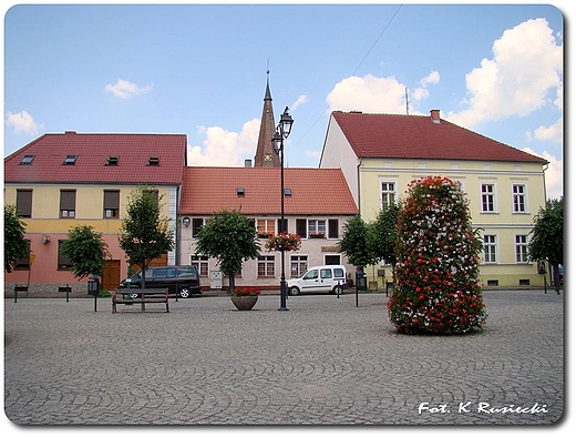 Rynek