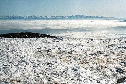 Widok Tatr z Pilska (1557 m.n.p.m.) - jedna z najpikniejszych panoram w poslkich grach. Beskid ywiecki