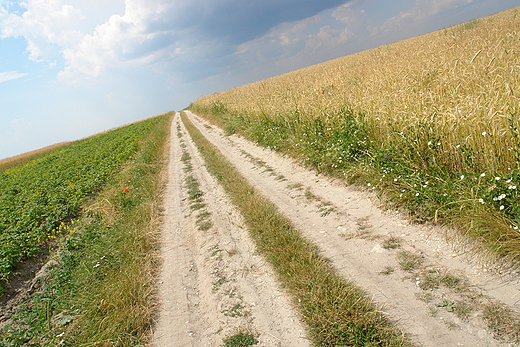 Polna droga. Gruszczyn