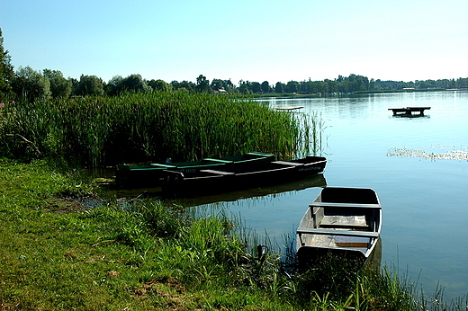 Firlej - dzika przysta