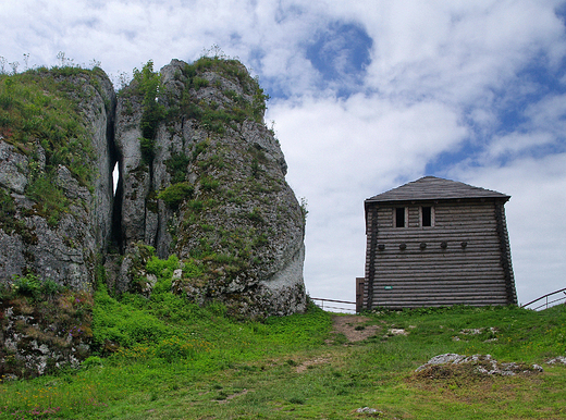 Podzamcze. Fragment grodziska na Grze Birw.