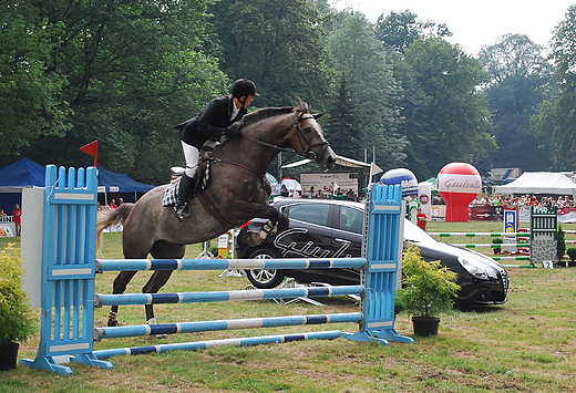 Pszczyna 2010r. Zawody jedzieckie w klasie L