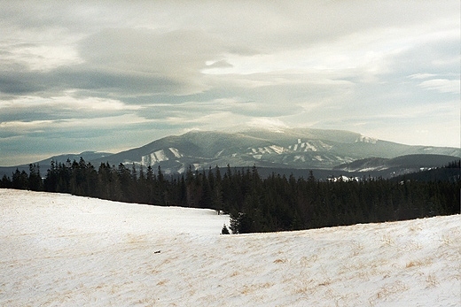 Babia gra - widok z Hali Malorki (1051 m.n.p.m.). Beskid ywiecki