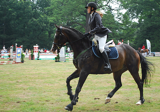 Pszczyna 2010r. Pokaz jazdy konnej.