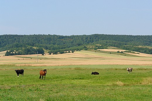 Widok na Fajn Ryb. Gry Mokre