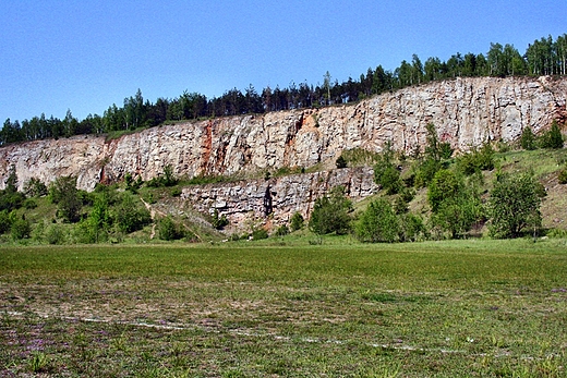 REZERWAT GRA RZEPKA