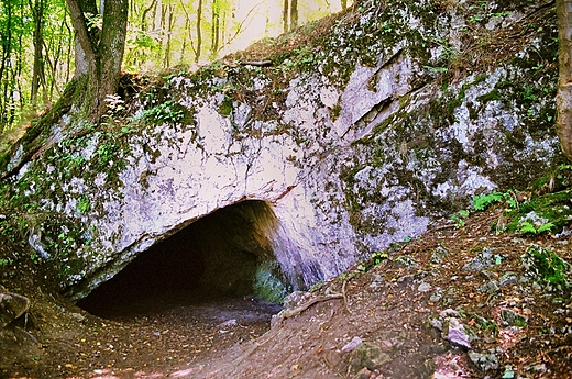 JASKINIA PIEKO POD SKIBAMI