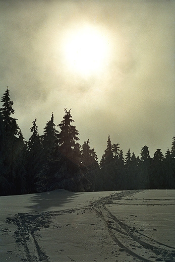 Lachw Gro (1045 m.n.p.m.) - rozpocierajca si tu pod wierzchokiem gry Hala Janoszkowa. Beskid ywiecki