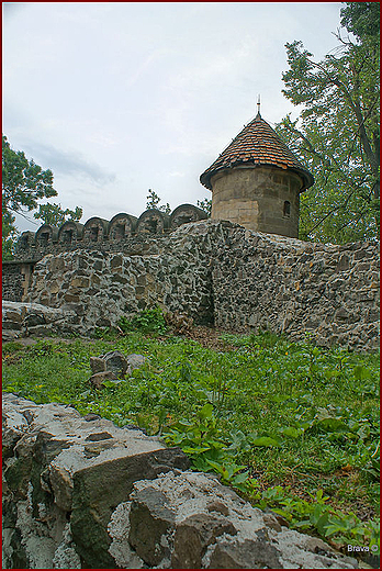 ZAMEK GRODZIEC - DOLNOLSKIE