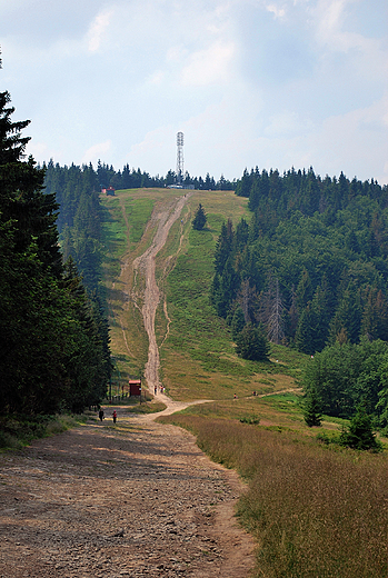 Szczyt Klimczoka 1117 m npm.