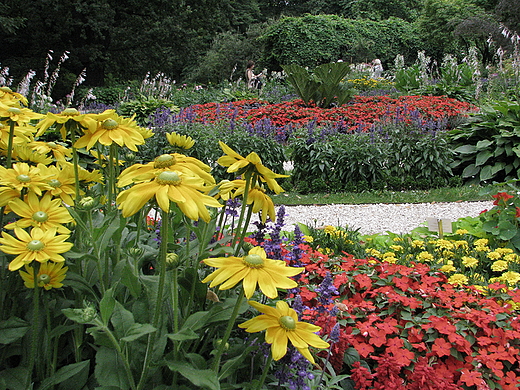 Ogrd Botaniczny w Warszawie