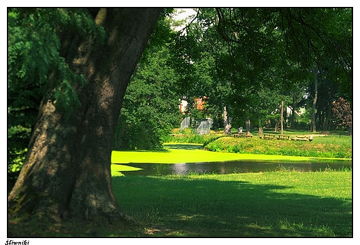 Śliwniki - park krajobrazowy przy pałacu Niemojewskich