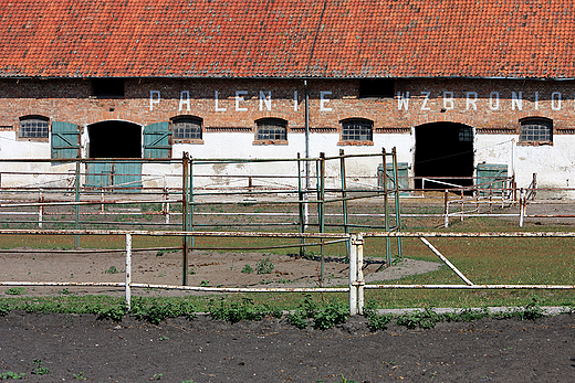 Kadyny - stadnina koni