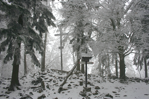 ŁYSICA