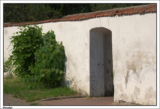 Parady - fragment ogrodzenia klasztornego