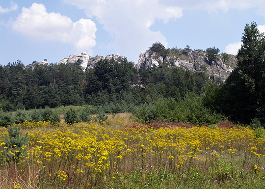 Widok na wapienne skay na Gorze Zborw.