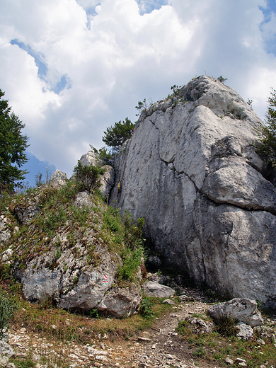 Skalny ostaniec w rezerwacie Gra Zborw.