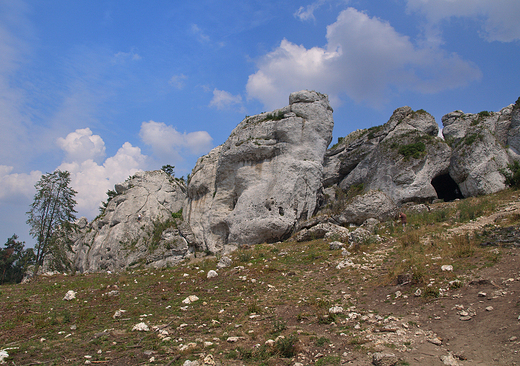 Jurajskie skay na Grze Zborw.