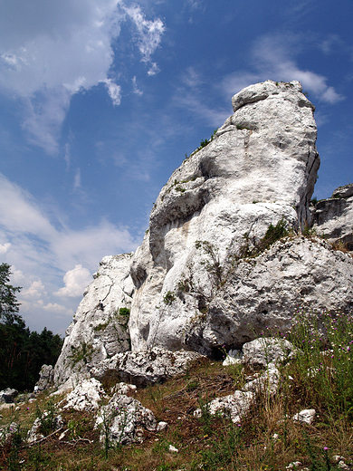 Gra Zborw. Ostaniec skalny.