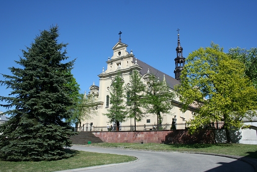 Katedra p.w. Wniebowzicia N.M.P.