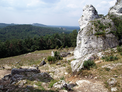 Panorama Jury Krakowsko-Czstochowskiej z Gry Zborw 452m. npm.