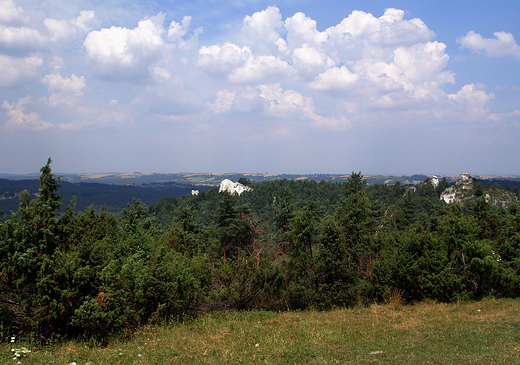 Panorama Jury z Gry Zborw.