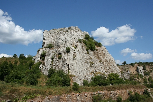 Rezerwat Kadzielnia - Skaka Geologw