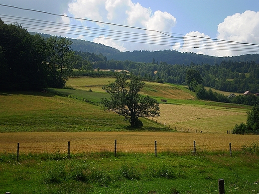 Widok z drogi do Brennej