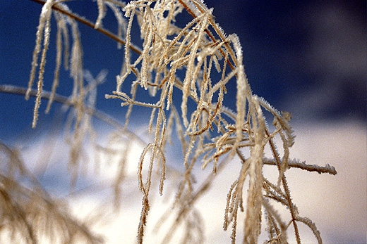 Poranna szad. Beskid ywiecki