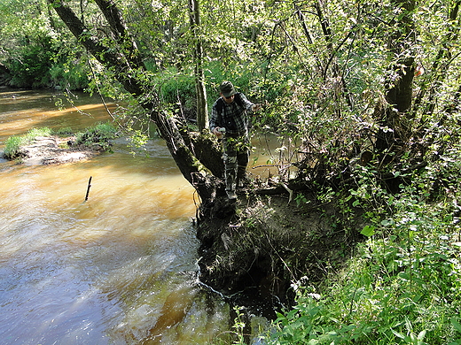 Rzeka Kamienna w Marcinkowie.