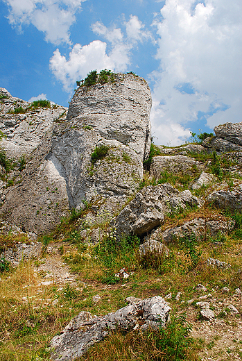 Jurajskie skay w okolicy Podlesic i Kroczyc.