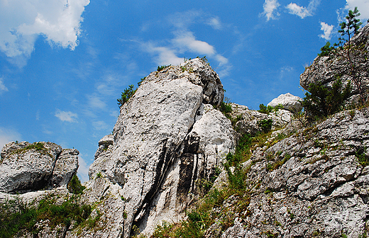 Skay-tzw. ostace na terenie rezerwatu przyrogy Gra Zborw koo Kroczyc.