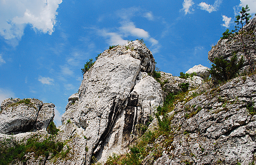 Skay-tzw. ostace na terenie rezerwatu przyrogy Gra Zborw koo Kroczyc.