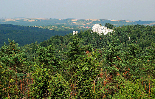 Panorama Jury z Gry Zborw 462 mnpm.